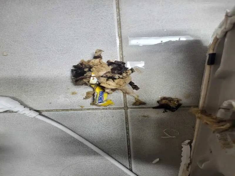 수궁동 정화조막힘 작업 현장